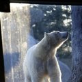 IMG_1418955