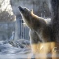 IMG_1418956