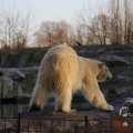 IMG_1418958