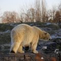 IMG_1418959