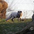 IMG_1418969