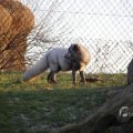 IMG_1418970