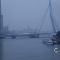 IMG_1423238