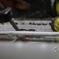 IMG_1423287