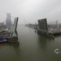 IMG_1423385