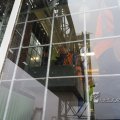 IMG_1423421