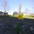 IMG_1430076