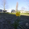 IMG_1430077