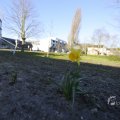 IMG_1430080