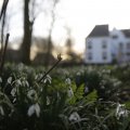 IMG_1430098