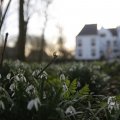 IMG_1430099