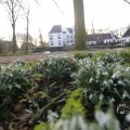 IMG_1430109