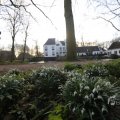 IMG_1430113