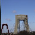 IMG_1429811