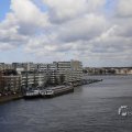 IMG_1429821