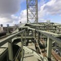 IMG_1429884