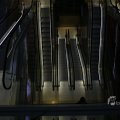 IMG_1435637