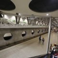 IMG_1441565