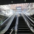 IMG_1441566