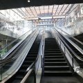 IMG_1441570