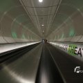 IMG_1441577