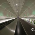 IMG_1441579
