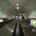 IMG_1441583