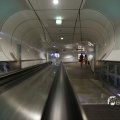 IMG_1441586