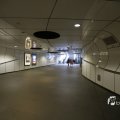 IMG_1441589