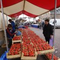 IMG_1442482
