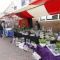 IMG_1442556