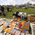 IMG_1446393