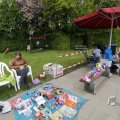 IMG_1446723