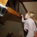 IMG_1448882