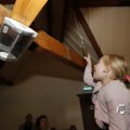 IMG_1448883