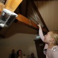 IMG_1448884