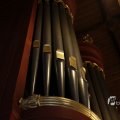 IMG_1449369