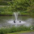 IMG_1449761