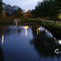 IMG_1451946