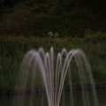 IMG_1452239