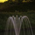 IMG_1452241