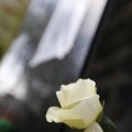 IMG_1451794