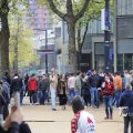 IMG_1451958