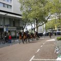 IMG_1452048