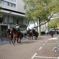 IMG_1452049