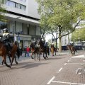 IMG_1452050