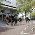 IMG_1452051