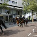 IMG_1452053