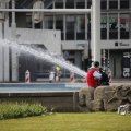 IMG_1452104