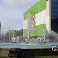 IMG_1452113